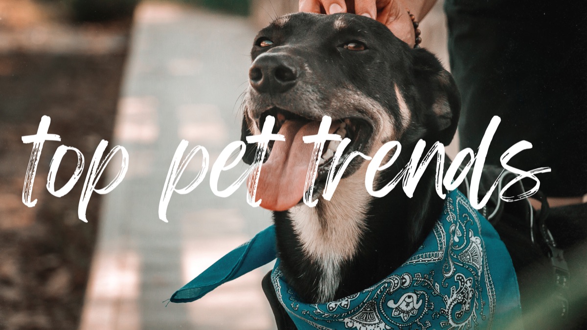 2026 Pet Industry Trends: What Pet Business Owners Need to Know