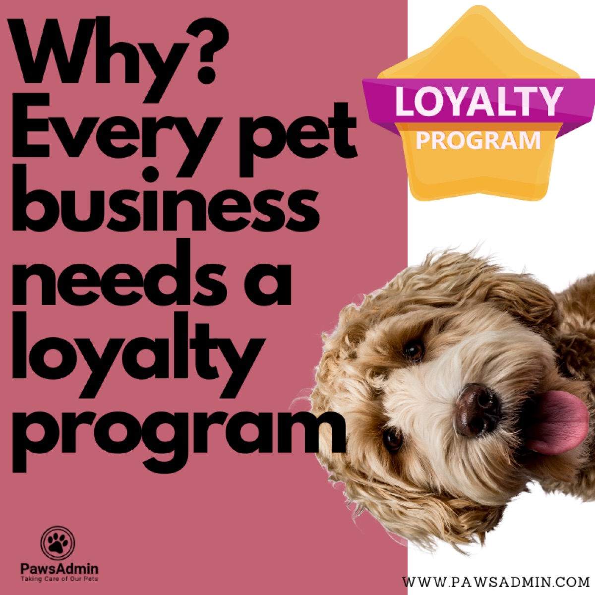 Why Every Pet Business Needs a Customer Loyalty Program