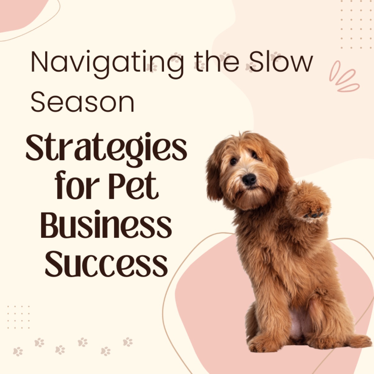 Navigating the Slow Season: Strategies for Pet Business Success