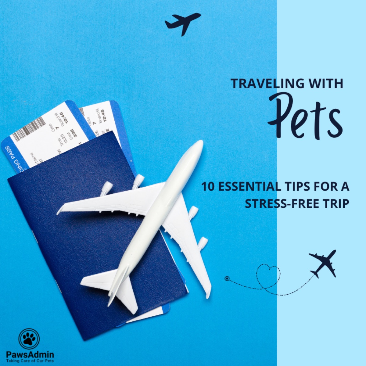 Traveling with Pets: 10 Essential Tips for a Stress-Free Trip